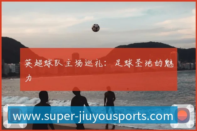 未来规划